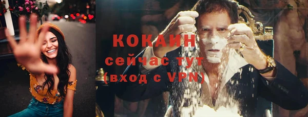 apvp Богородск