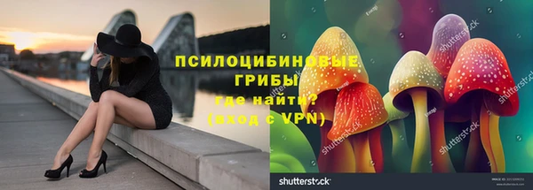apvp Богородск