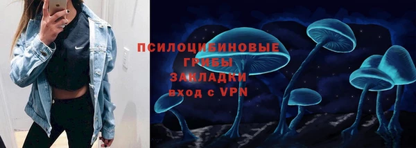 ГАЛЛЮЦИНОГЕННЫЕ ГРИБЫ Богородицк