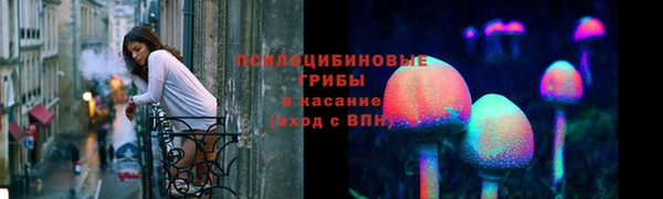 apvp Богородск
