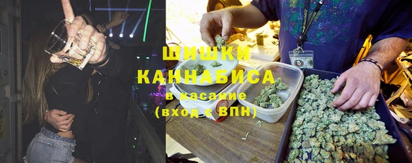 твердый Богданович