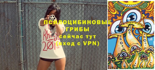 твердый Богданович